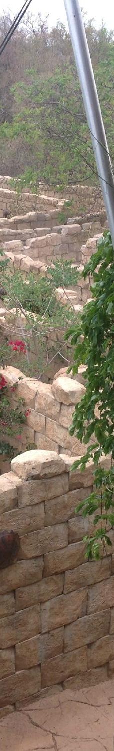 The Maze of the Lost City-太阳城