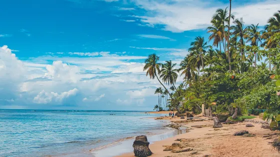 Playa Bonita