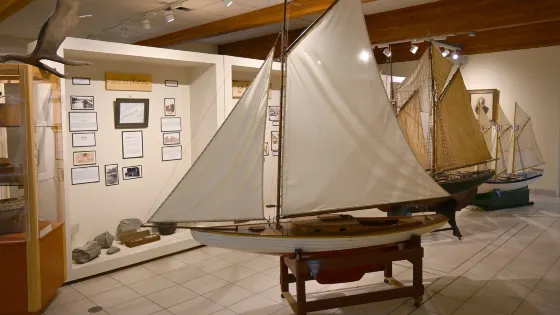 DesBrisay Museum