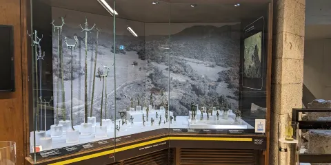 卡利亞里國家考古博物館