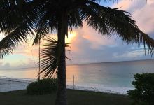 Andros Barrier Reef景点图片