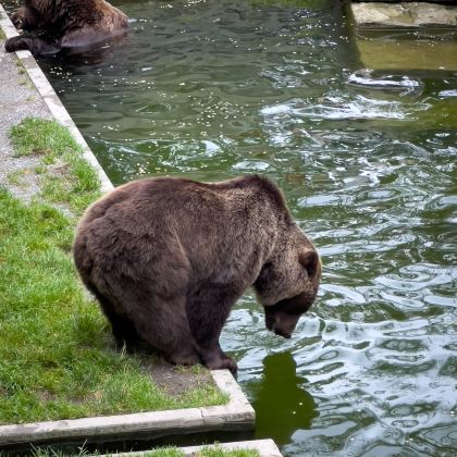 法国巴黎+瑞士巴塞尔+伯尔尼+卢塞恩+苏黎世+意大利米兰+佛罗伦萨+罗马10日9晚私家团