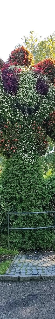 迈瑙岛-康斯坦茨