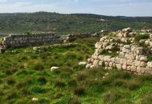 Tel Beit Shemesh景点图片