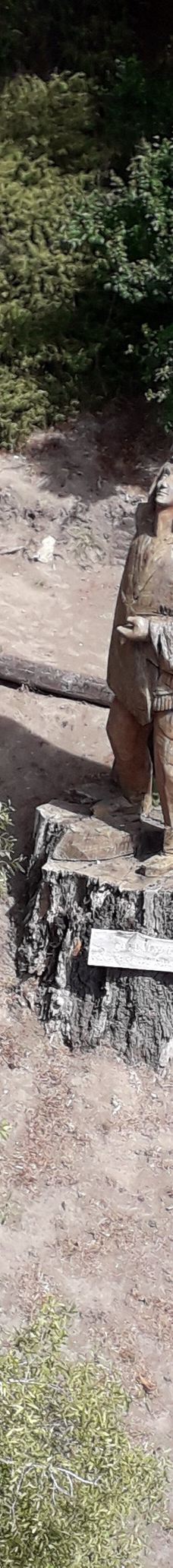 Parque Ecoturistico Cerro Viejo-圣卡洛斯-德巴里洛切