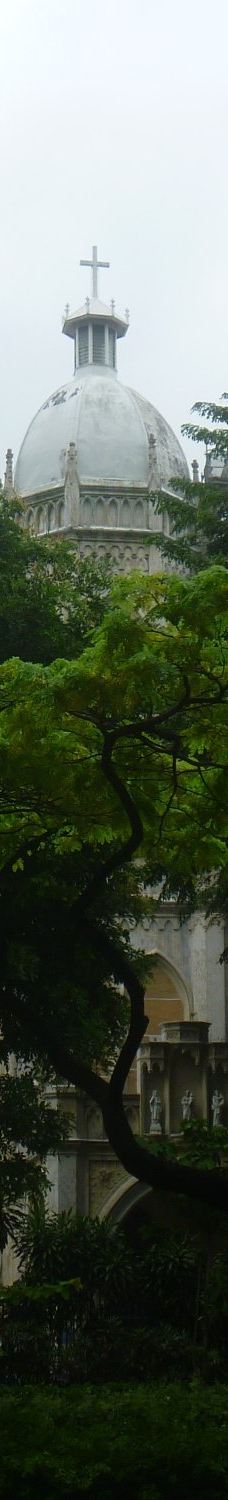 圣约瑟夫教堂-新加坡