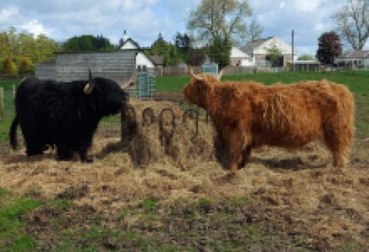 Robertson's The Larder Tomich Farm Shop and Petting Farm购物图片