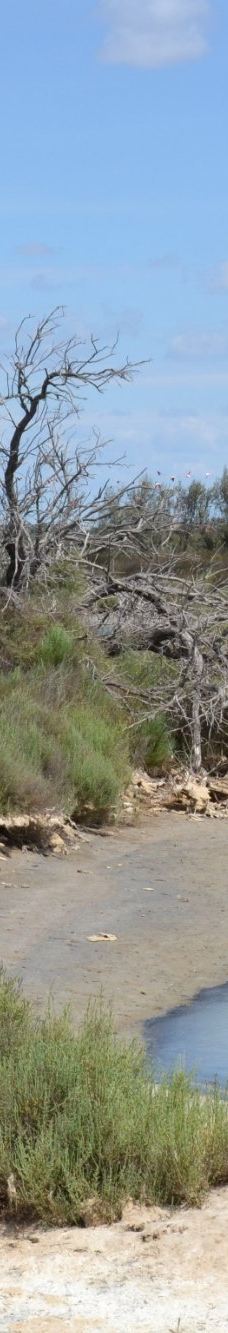 Domaine de la Palissade-阿尔勒