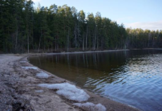 Lammassaari Island景点图片