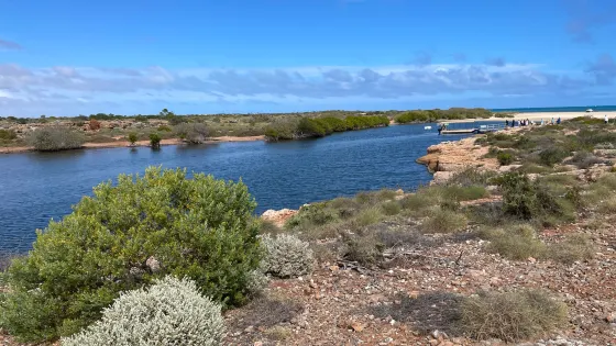 Yardie Creek