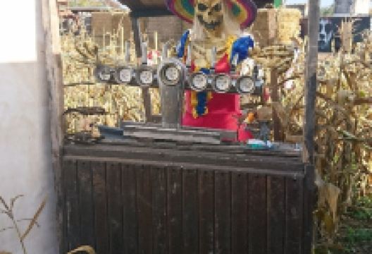 Broadditch Farm景点图片