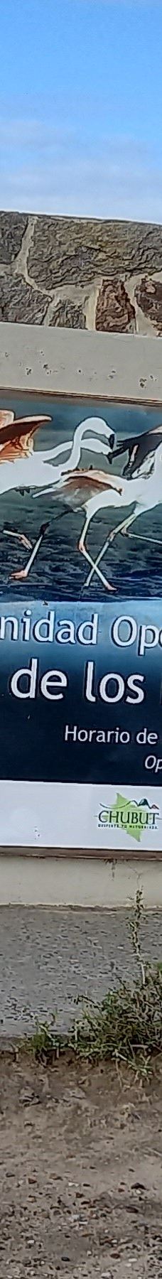 Reserva Natural Isla de los Pajaros-别德马