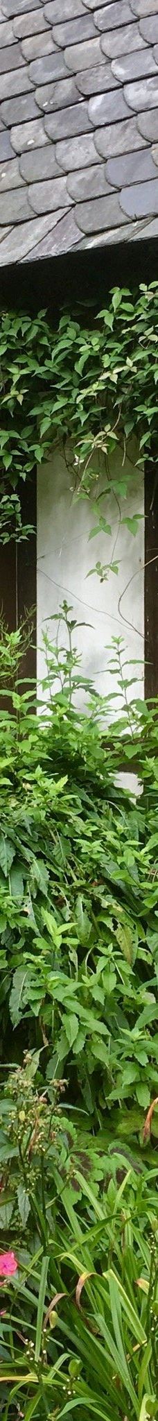 Alter Botanischer Garten-基尔