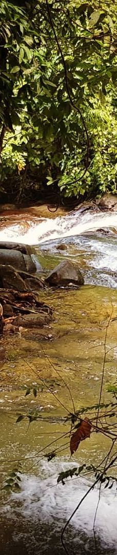 Ton Pring Waterfall-泰孟