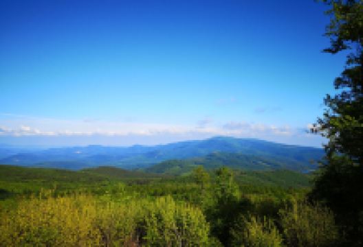 Galya Lookout景点图片