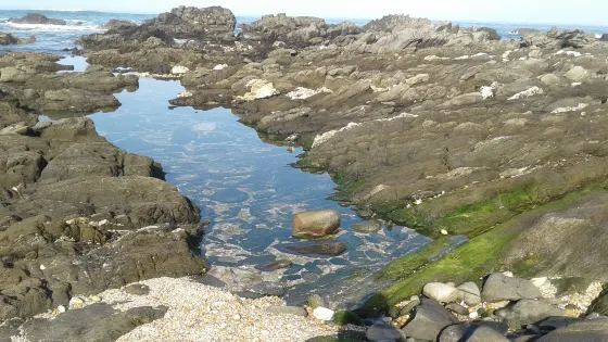 Beachview Beach