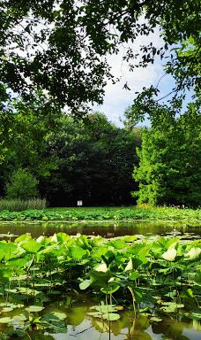 Parc des Gayeulles-雷恩