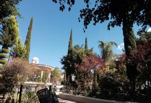 Plaza las Pintas de Arriba景点图片