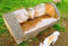 Bradlaugh Fields & Barn景点图片