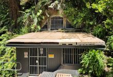 Kaimai Range景点图片