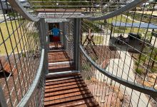 Noah's Playground景点图片