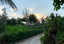 Đền thờ Đại đức Trần Văn An景点图片