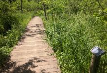 Green Ribbon Trail景点图片