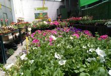 Jardineria ServeiVerd购物图片