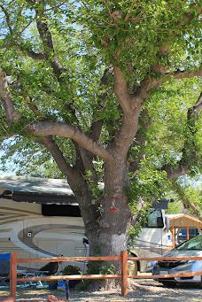 Rio Verde RV Park-卡顿伍德