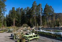 Hageland Hvittingfoss购物图片