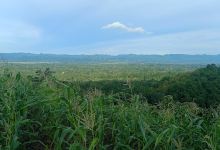Gunung Tompoloreng Poleonro景点图片