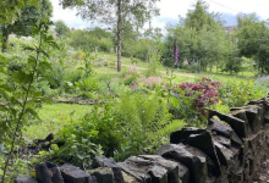 Sapgate Gardens景点图片