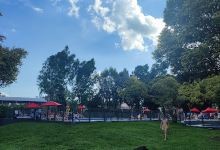 Camping de Los Bioquimicos景点图片