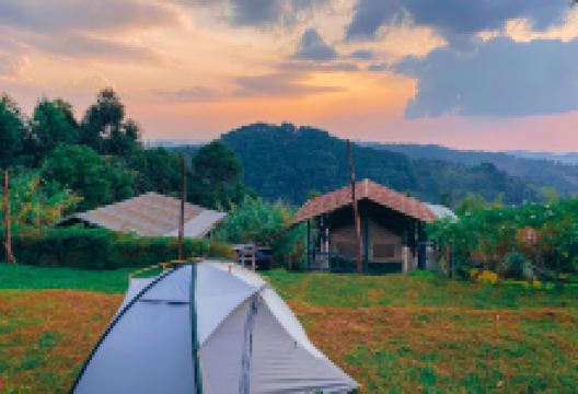 Ruhija Gorilla Friends Resort Campsite景点图片