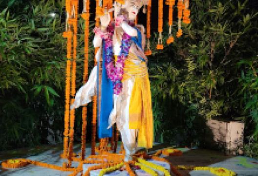 Rishi Chaitanya Ashram景点图片