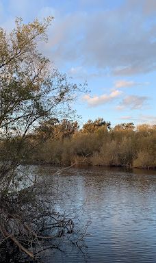 皮斯莫海滩-圣路易斯－奥比斯波县