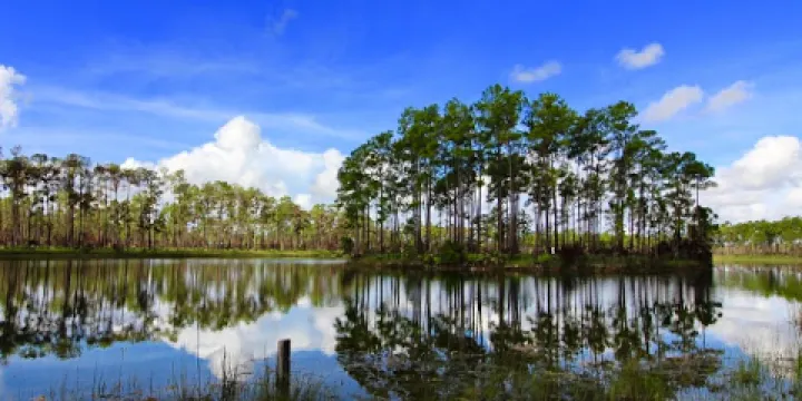 Florida National Parks Association