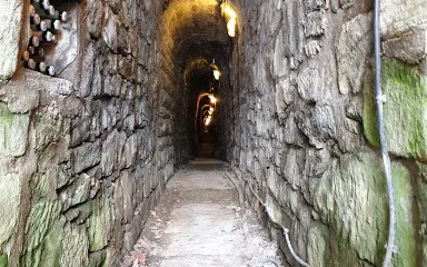 Altenberg & Stahlberg e.V.