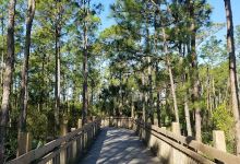Rodes Park Community Center景点图片