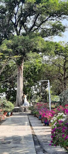Dai Tong Lam Pagoda-富美市社