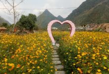Thung lũng hoa Quảng Chu景点图片