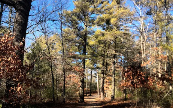Freetown-Fall River State Forest