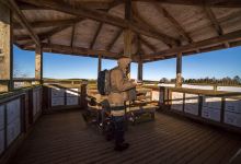 Sarkkilanjärvi Bird Watching Tower景点图片