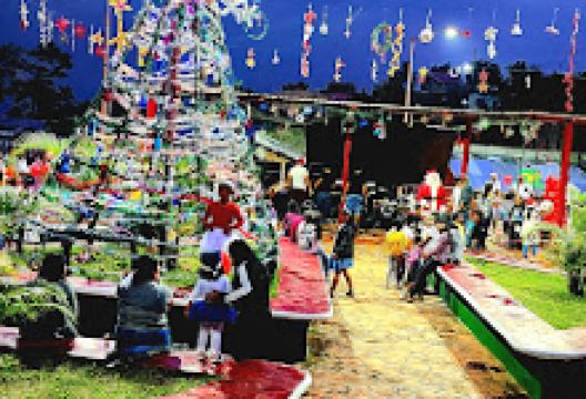 Municipal Park ejidal Park景点图片