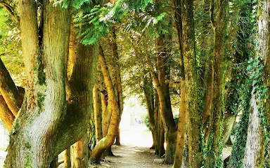 Le Prieure et ses jardins