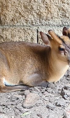 Butterfly Park Empuriabrava-Alt Emporda