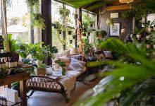 Eden Gardens购物图片