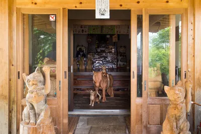 湖南省臨湘市五尖山雲林寺