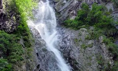 黃楮林自然保護區