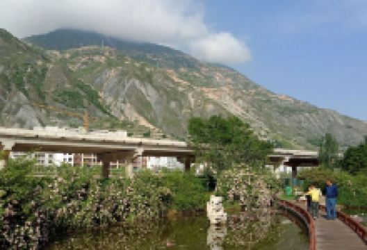 滨江公园景点图片
